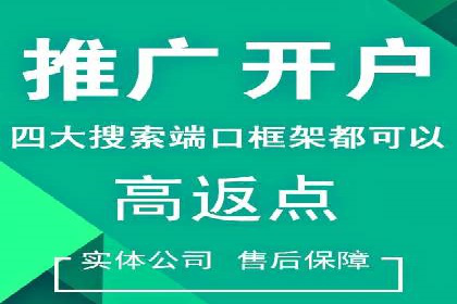 SEM竞价代运营成功案例解析